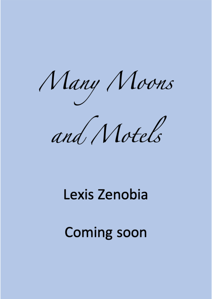 Placeholder image for the poetry collection Many Moons and Motels.