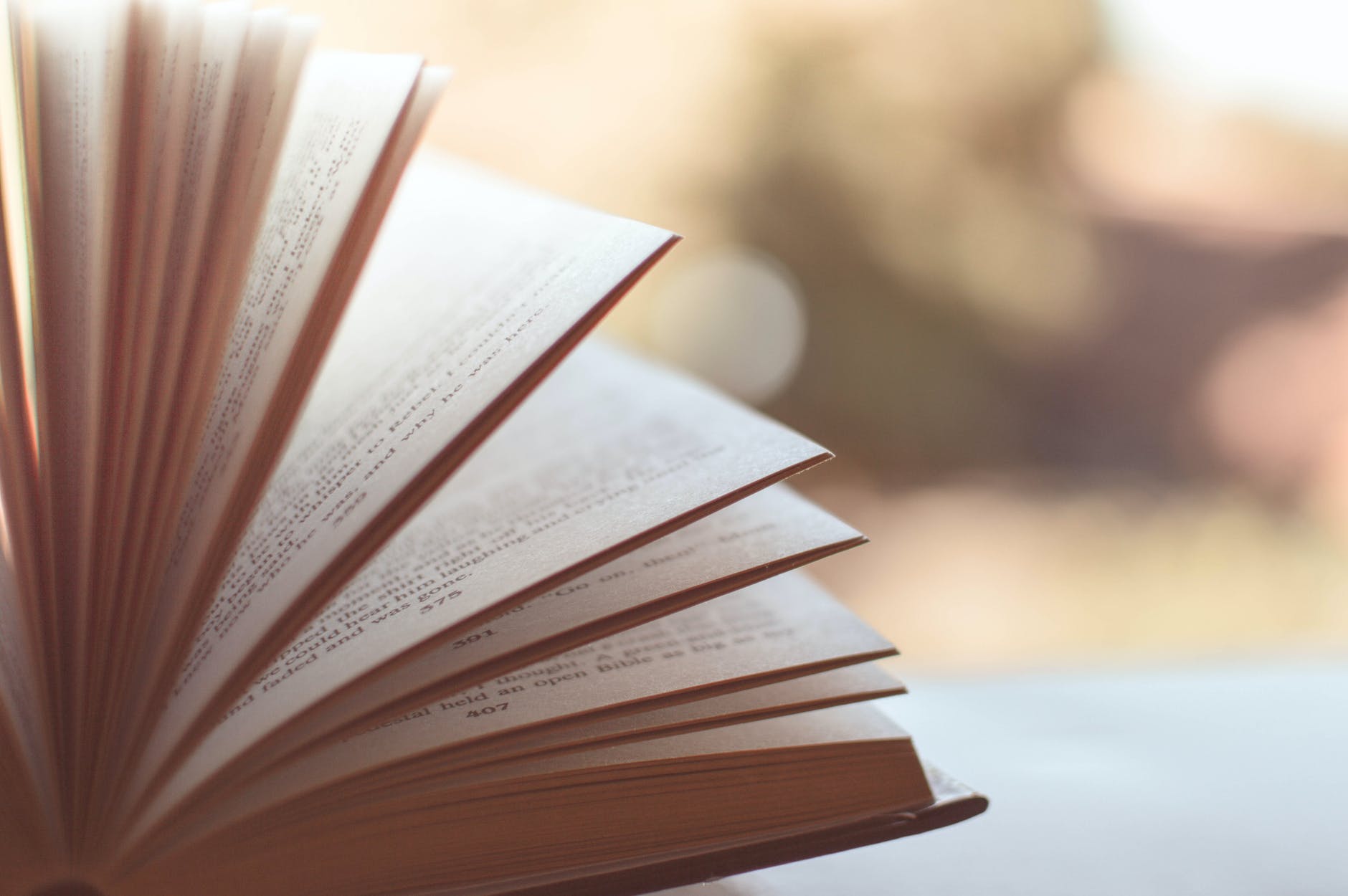 Book fanned open in front of out-of-focus outdoor backdrop. Photo by Caio on Pexels.com.
