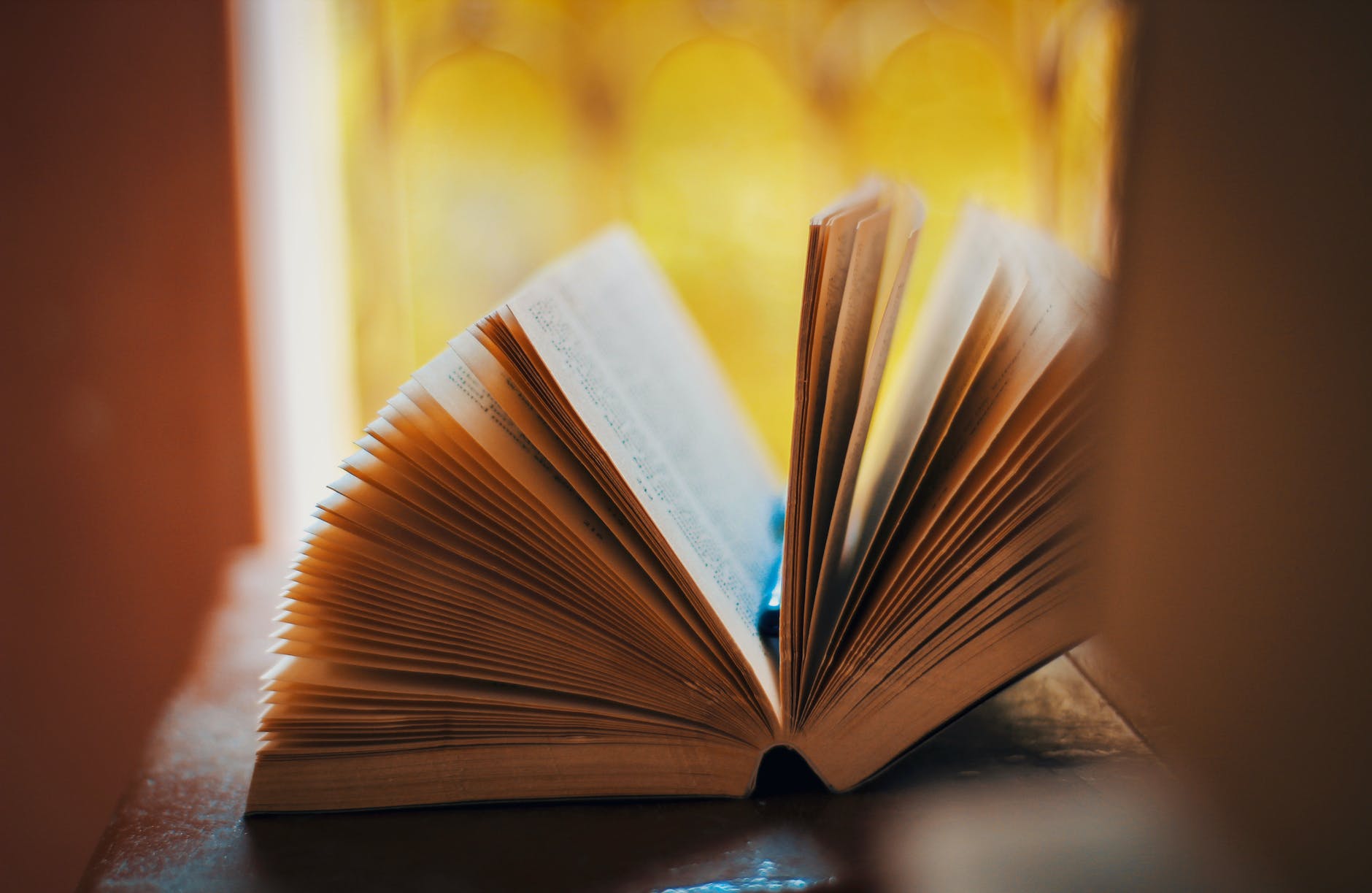 Book fanned open in front of a window with golden light coming in from outside. Photo by Sumit Mathur on Pexels.com.