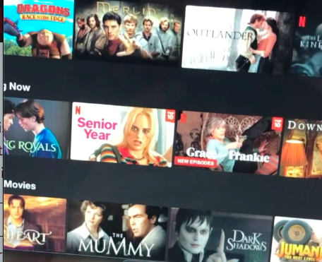 Screenshot of the Netflix home page. Photo by me.